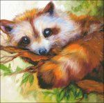 (image for) Raccoon Eyes